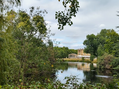 A serene landscape that embodies the essence of study and exploration.