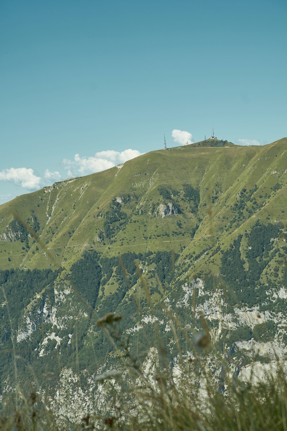 a green mountain with trees