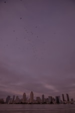 A city skyline at dusk with drones flying safely above, illustrating urban drone integration.