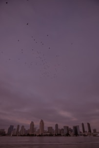 A city skyline at dusk with drones flying safely above, illustrating urban drone integration.