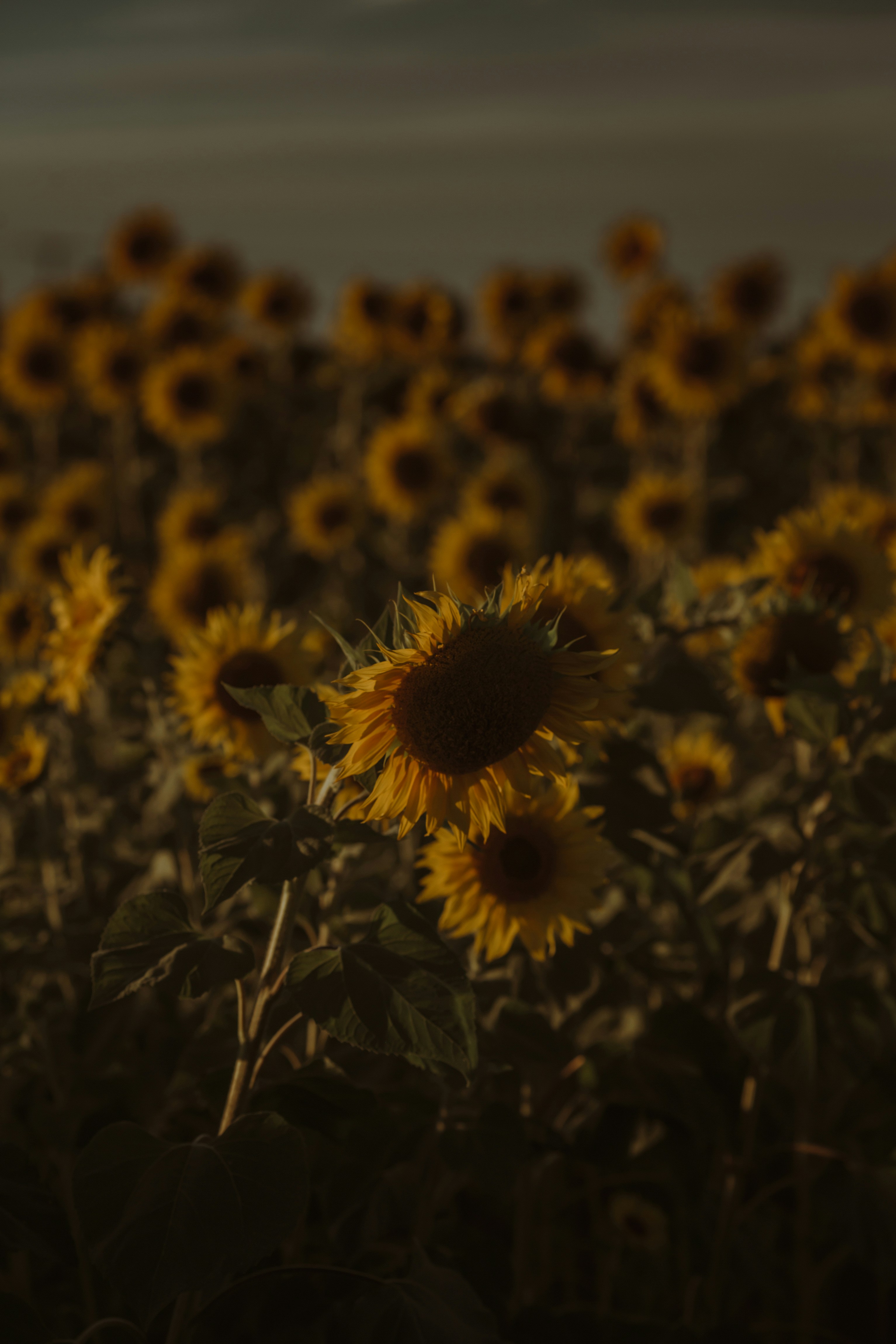 Photo by claudialam