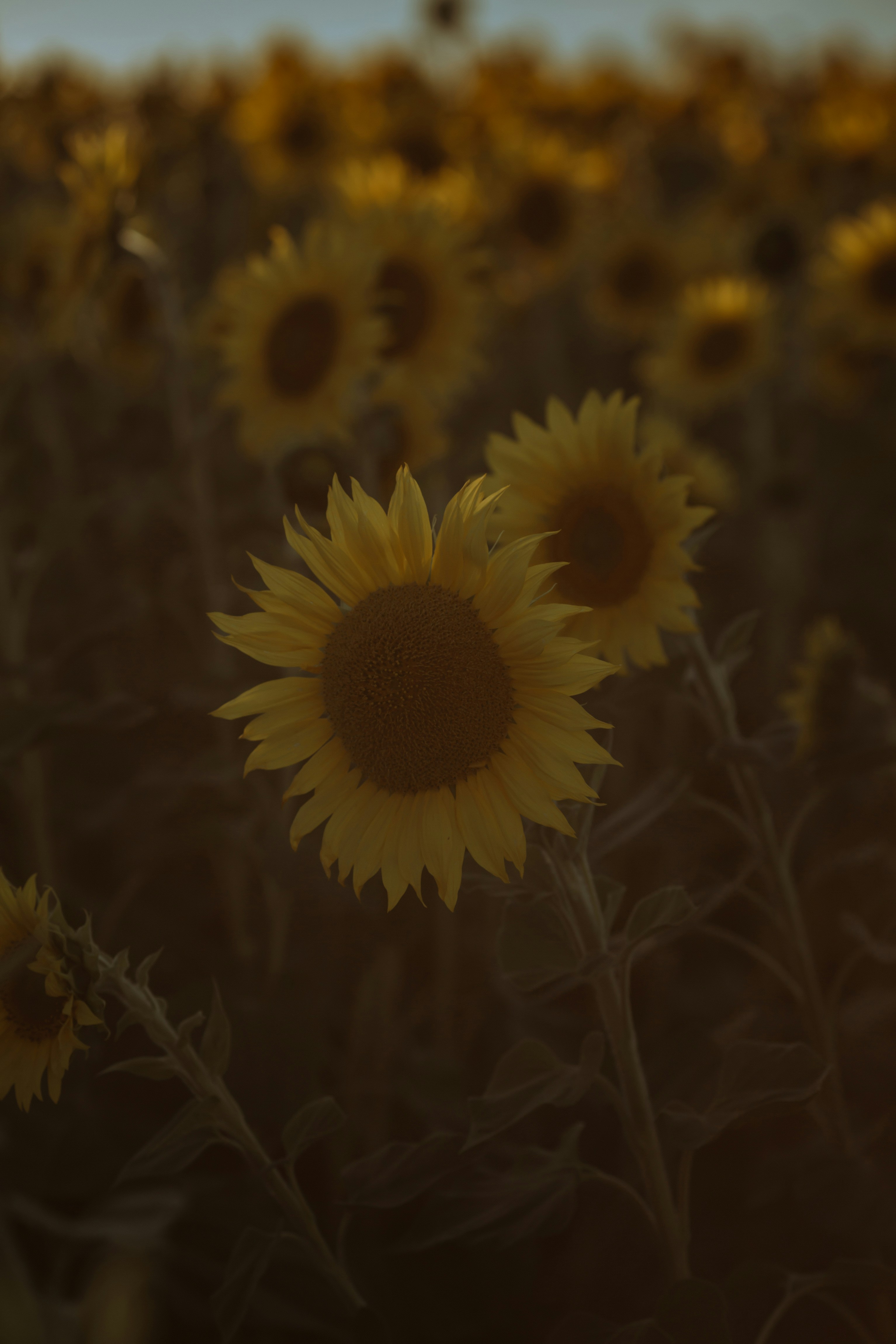 Photo by claudialam