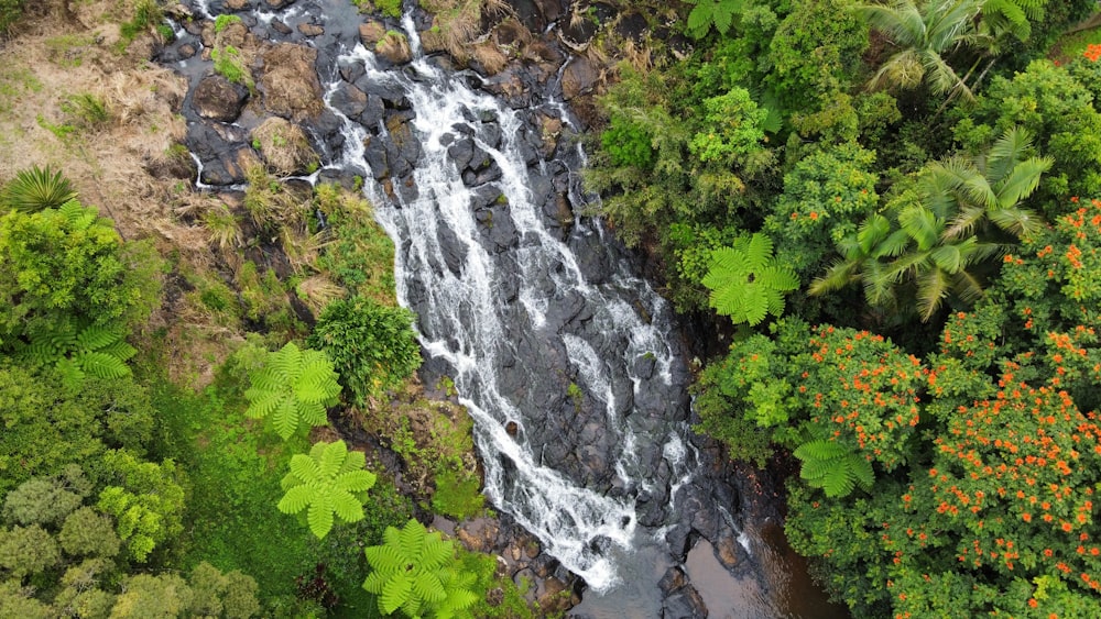 a waterfall in a forest