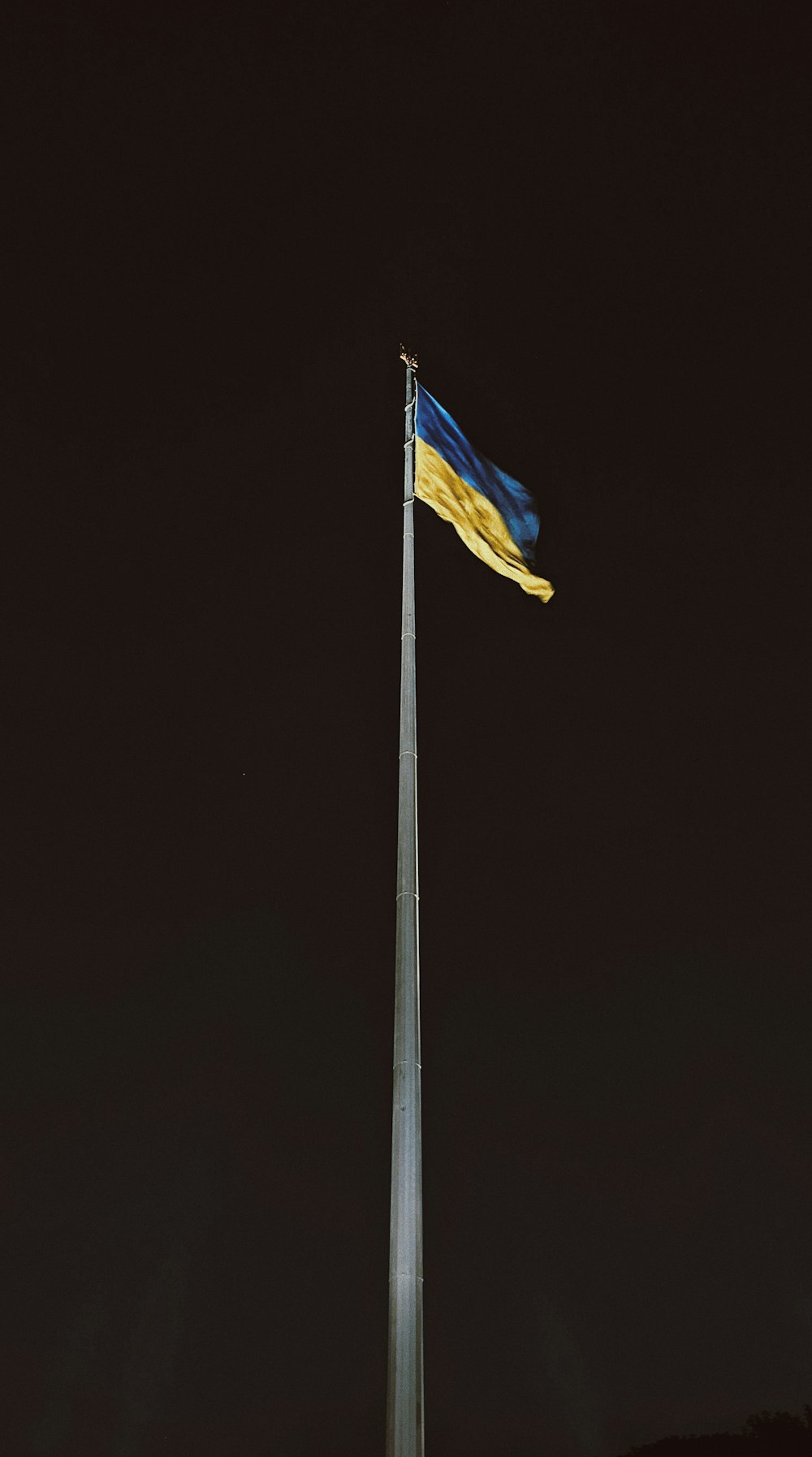 a flag on a pole