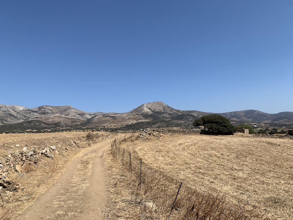 a dirt road in the desert