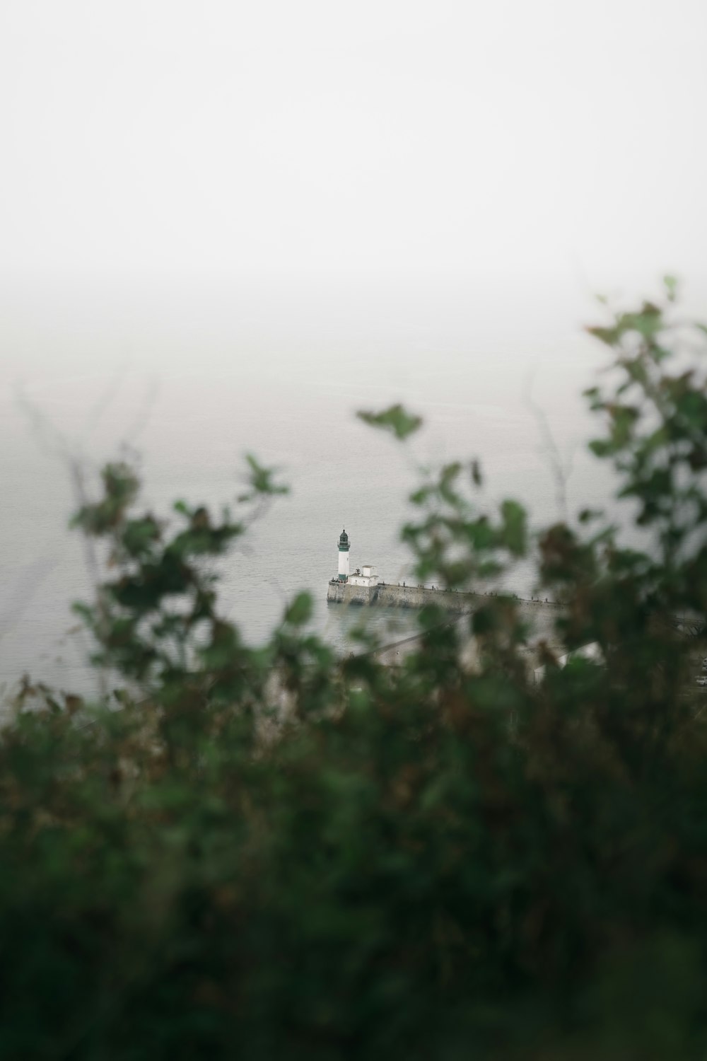 a tower in the middle of a forest