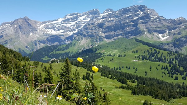 Conciergerie Airbnb Villars - Gestion locative Vaud