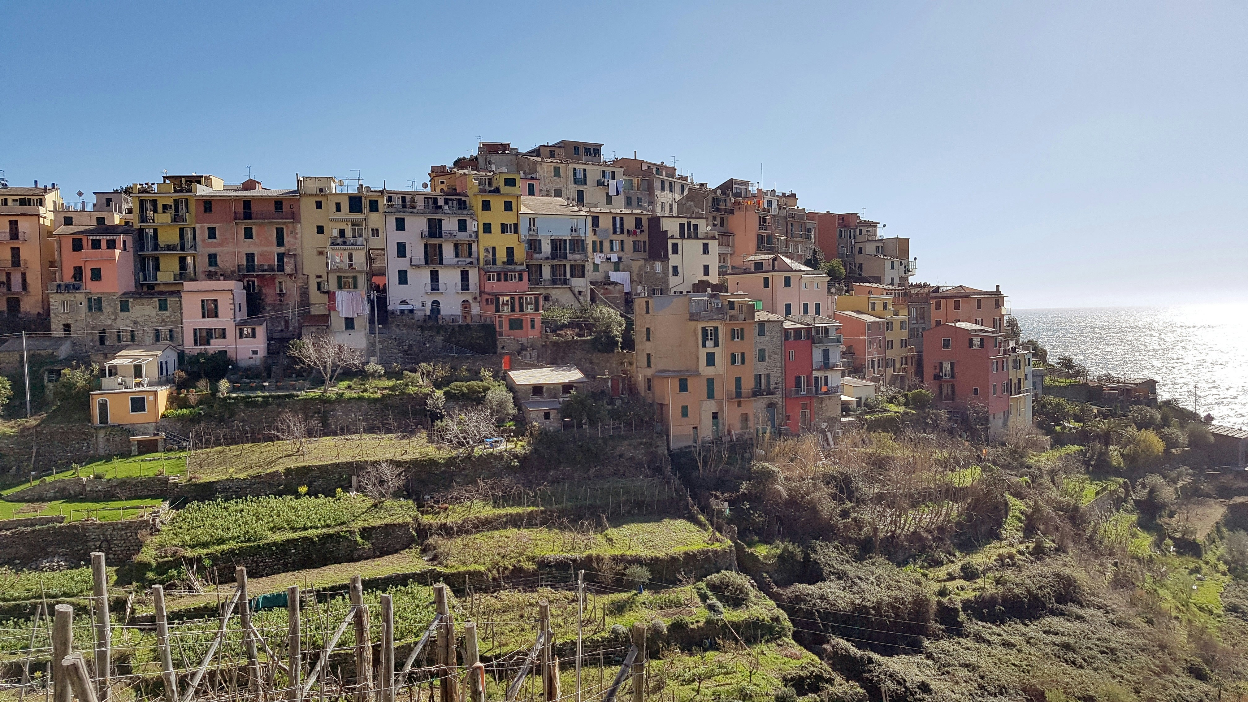 Un groupe de bâtiments sur une colline