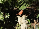Close-up of a vibrant cardinal figurine perched on a bookshelf surrounded by plants.