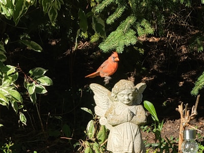 Close-up of a vibrant cardinal figurine perched on a bookshelf surrounded by plants.