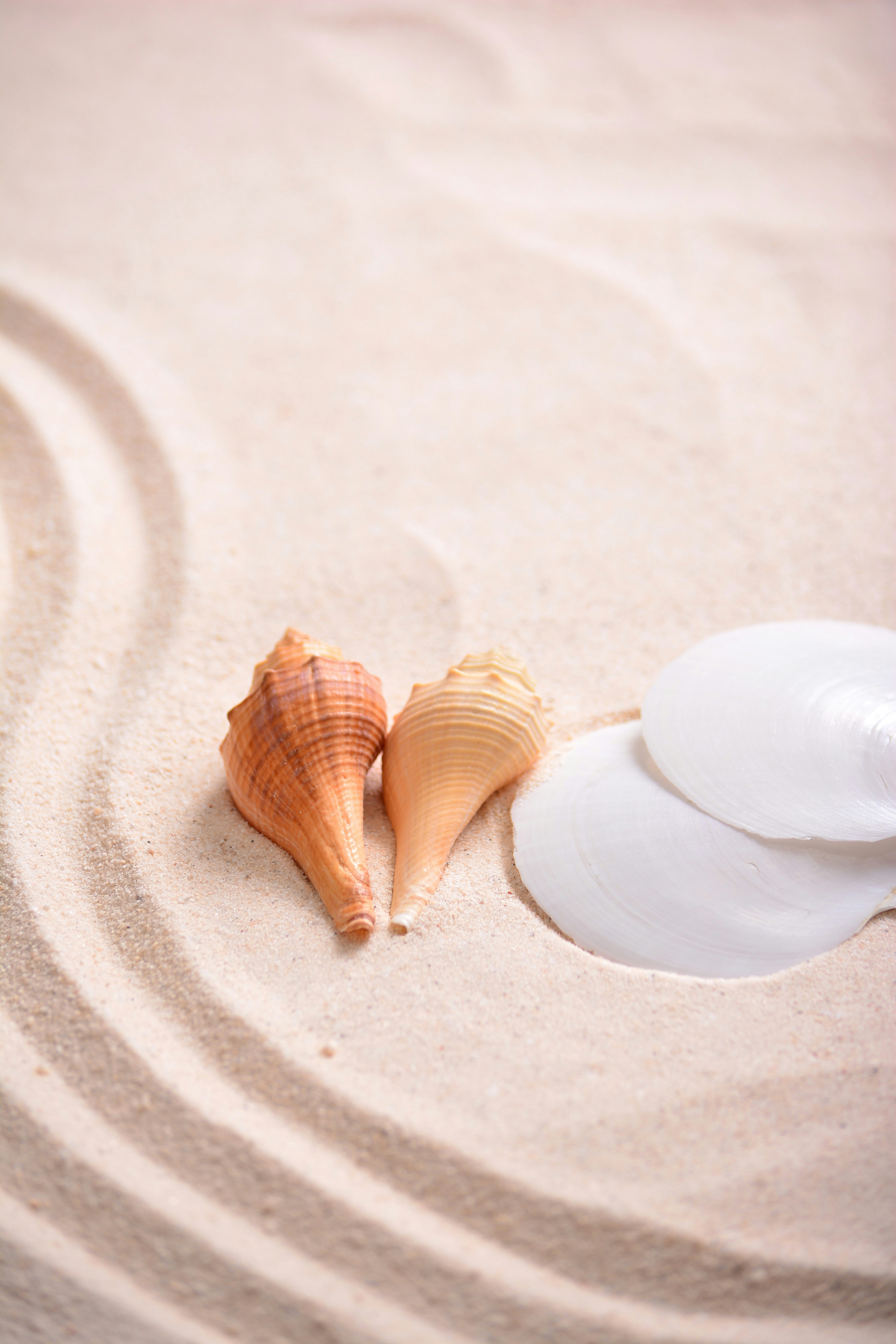 semarang city wallpaper, wallpaper, Bisnis di Kota Semarang: Peluang dan Cara Memulainya 4