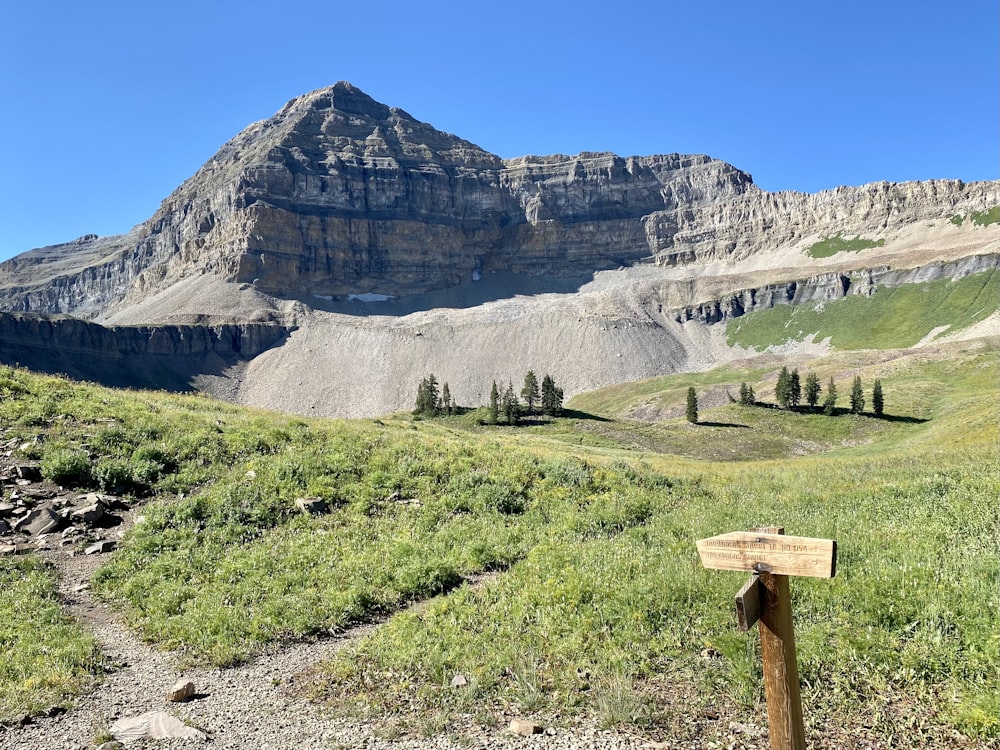 a grassy area with a mountain in the background