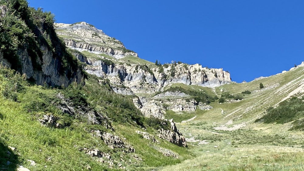 a rocky mountain with grass and trees