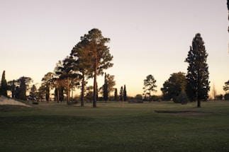 A minimalist golf course at dawn with soft forest green hues and clean white space.