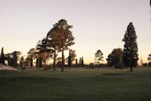 A serene landscape with a well-manicured golf course surrounded by tall trees. The sky is clear, hinting at either sunrise or sunset, with a soft, warm glow. The grass appears lush and green, contrasting with the darker silhouettes of the trees.