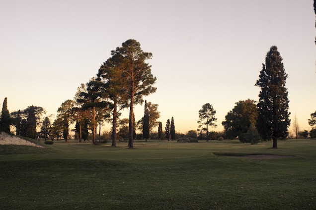 A serene landscape with a well-manicured golf course surrounded by tall trees. The sky is clear, hinting at either sunrise or sunset, with a soft, warm glow. The grass appears lush and green, contrasting with the darker silhouettes of the trees.