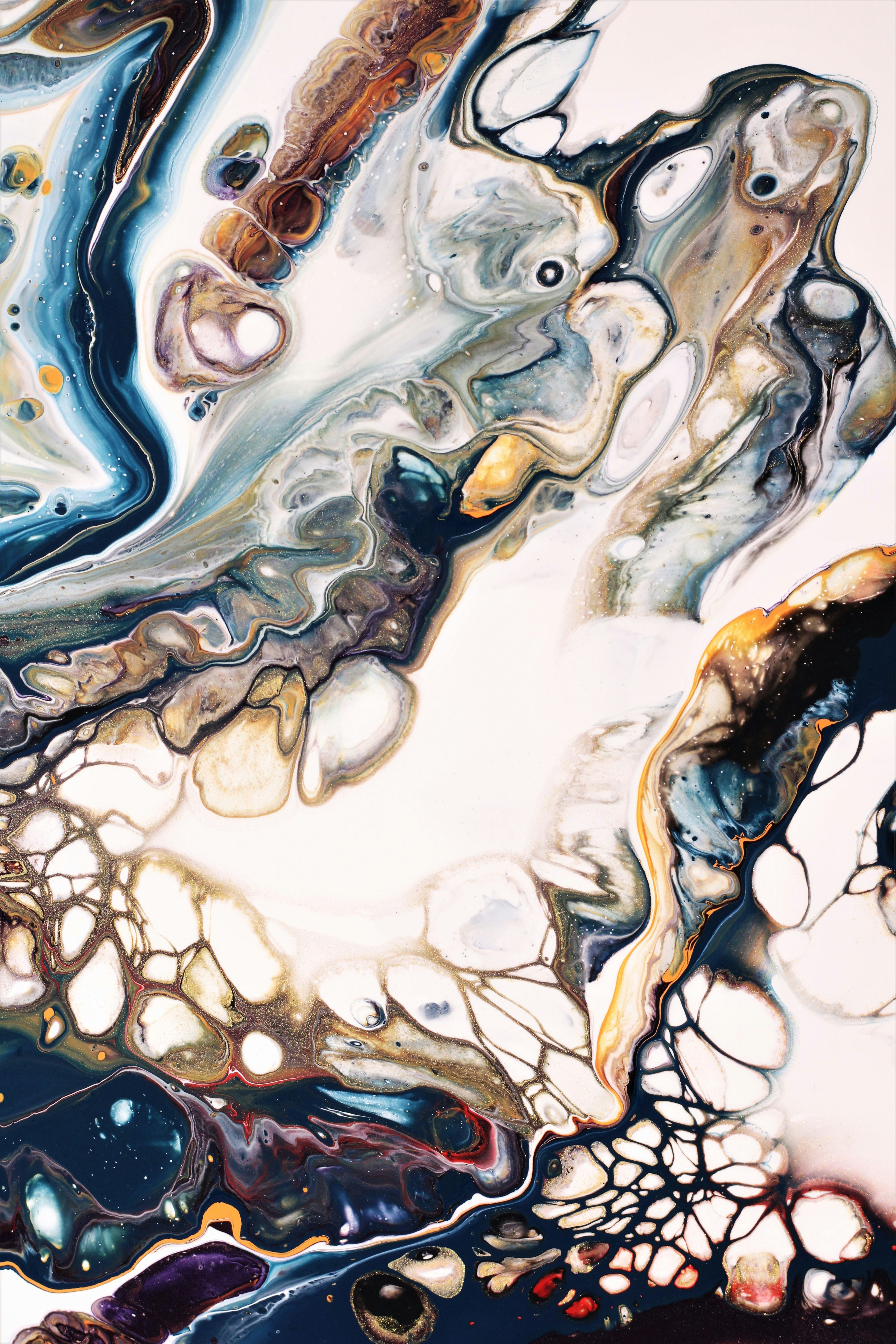 Photo by susan_wilkinson