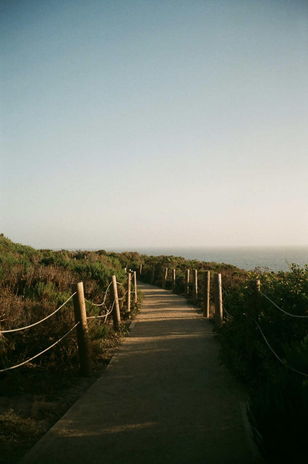 a path with a fence and grass on the side