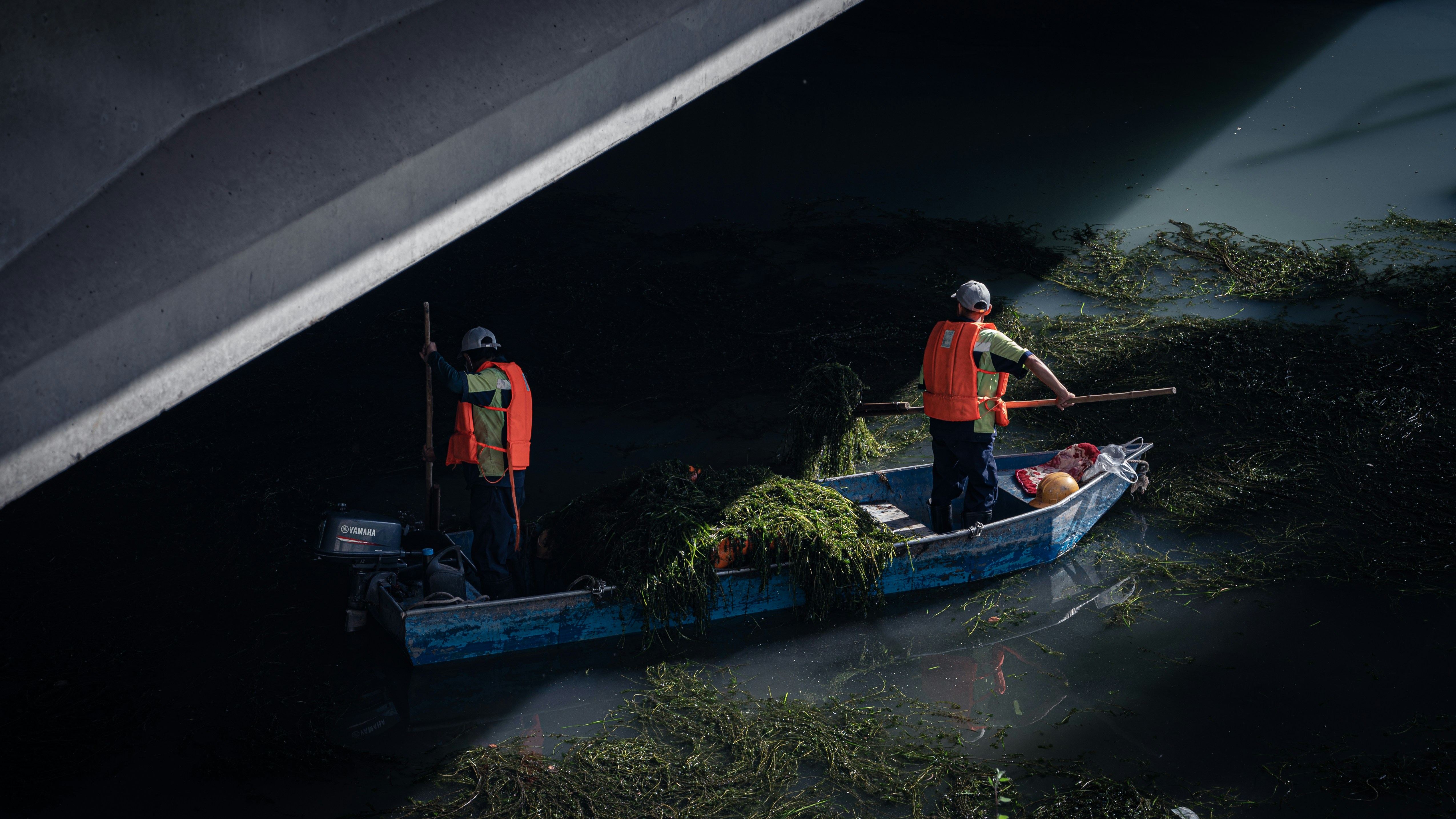 čištění vodních toků Photo by Tao Yuan on Unsplash