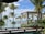A serene tropical setting featuring lush green palm trees surrounding a luxurious pool. In the background, the blue ocean meets the sky. Wooden cabanas with white curtains are positioned near the water, offering a relaxing environment.