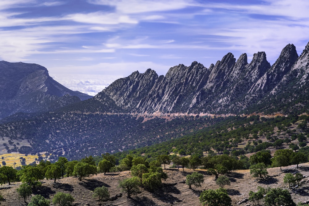 a landscape with mountains and trees