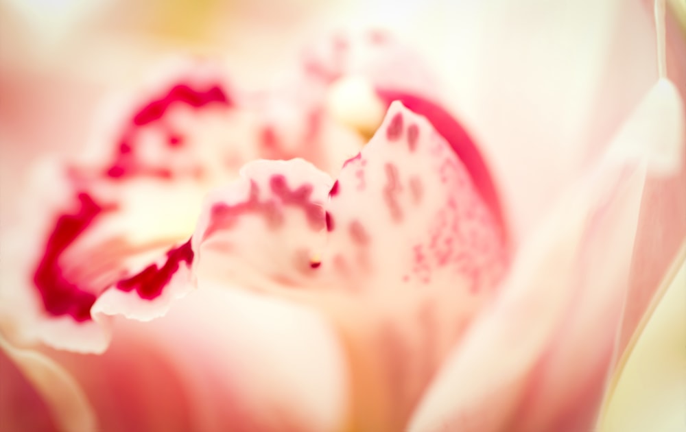 a close up of a person's face