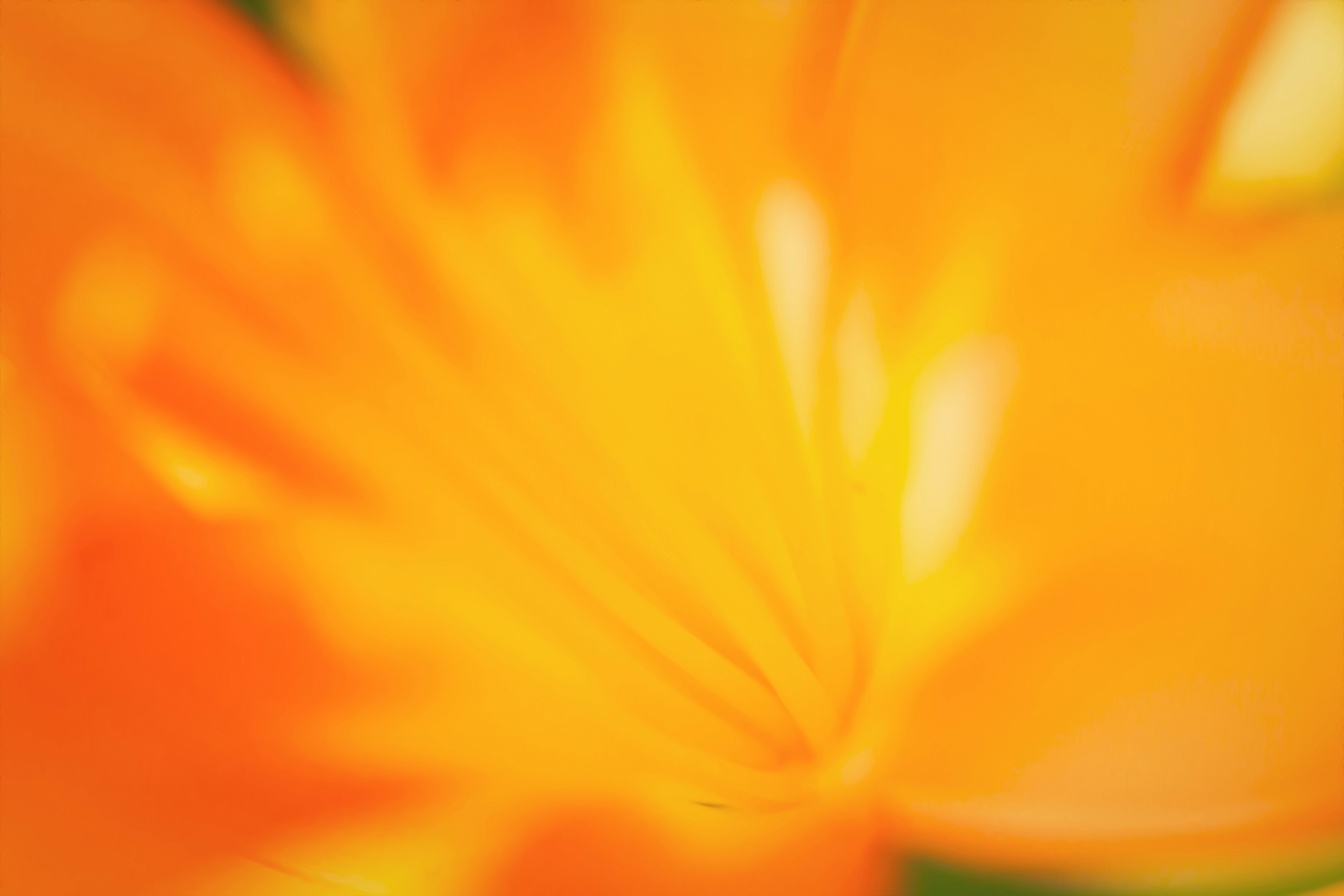 Happy Rosh Hashanah 2025 Wishes: Heartfelt Greetings & Blessings