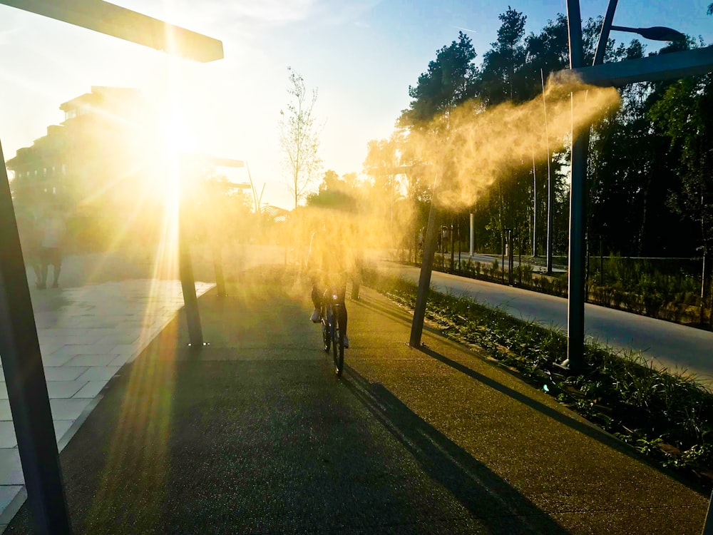 a person riding a bicycle on a road with trees on either side