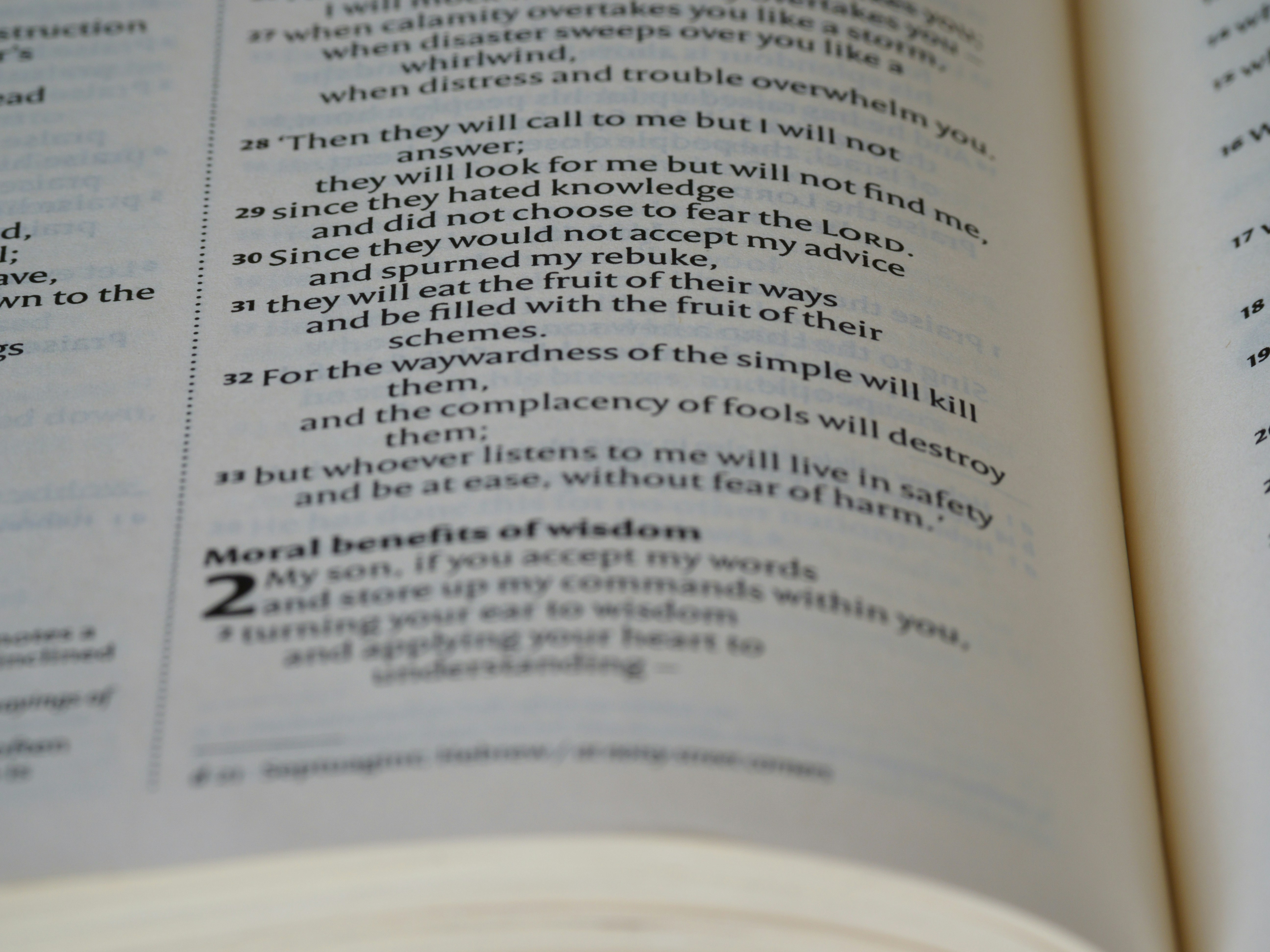 Photo by brett_jordan