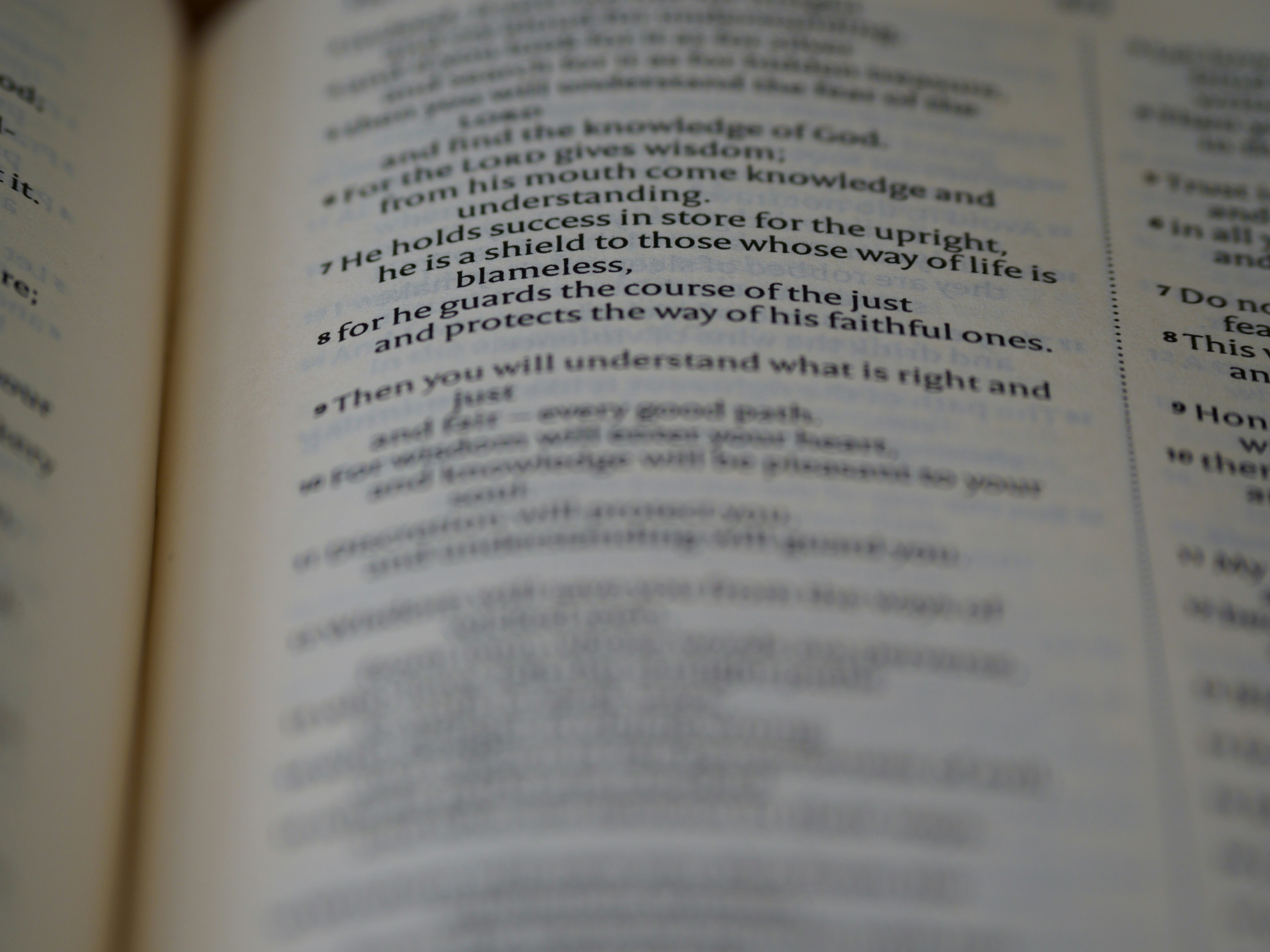 Photo by brett_jordan