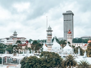 a city with trees and buildings