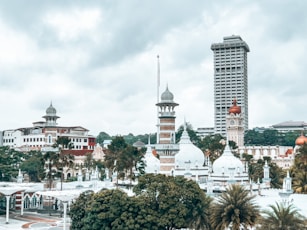 a city with trees and buildings