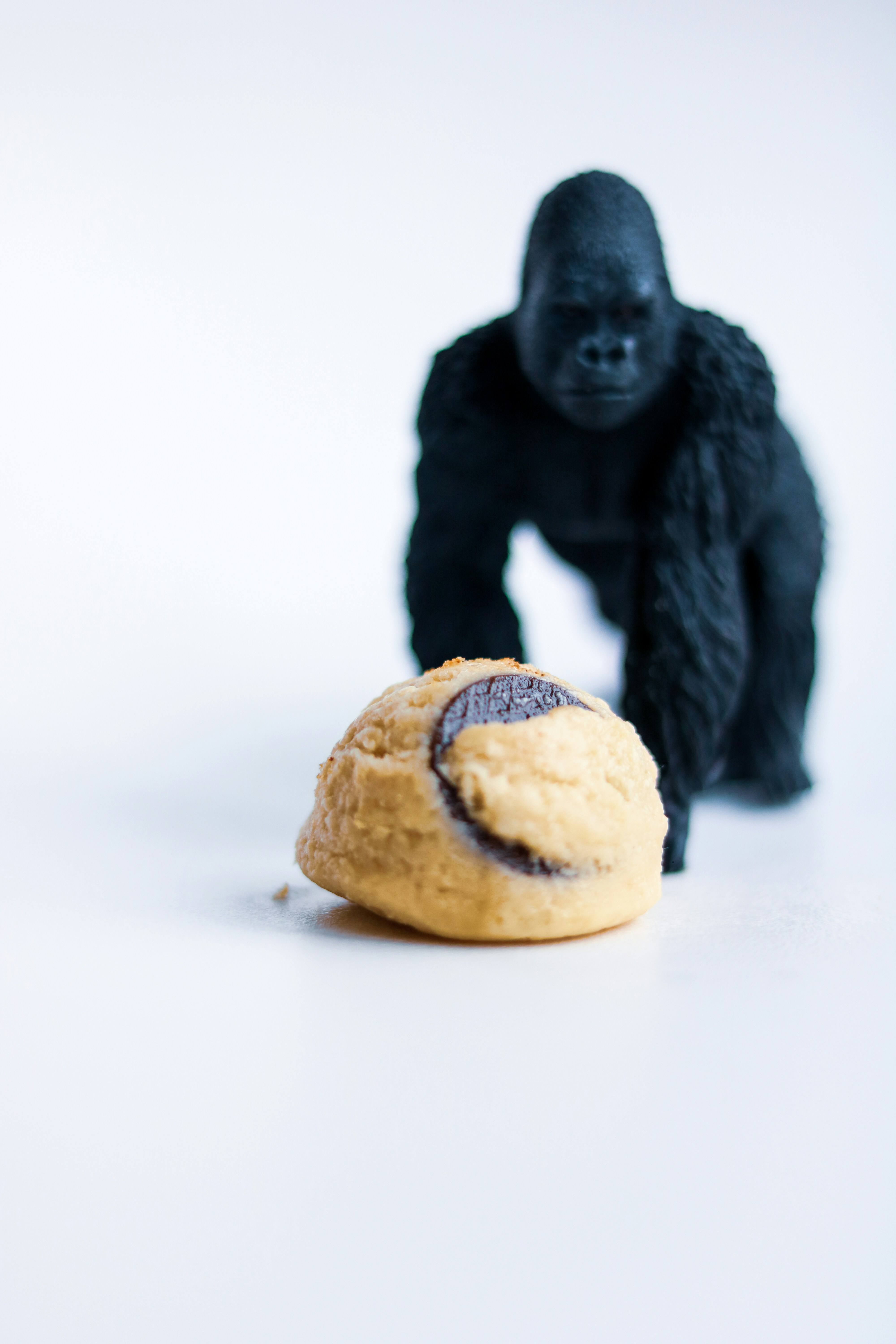 a monkey sitting next to a large turtle