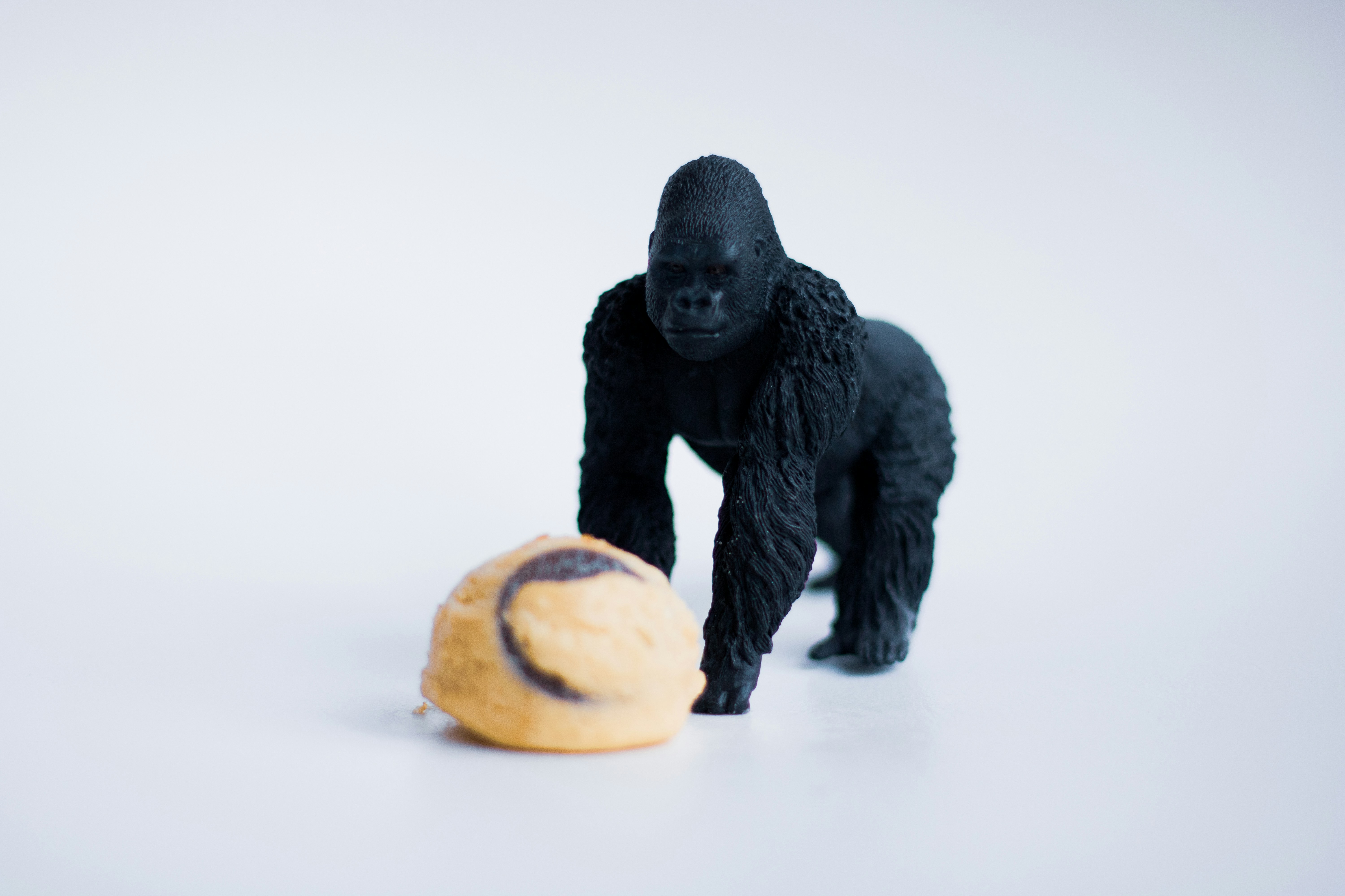 a monkey holding a basketball