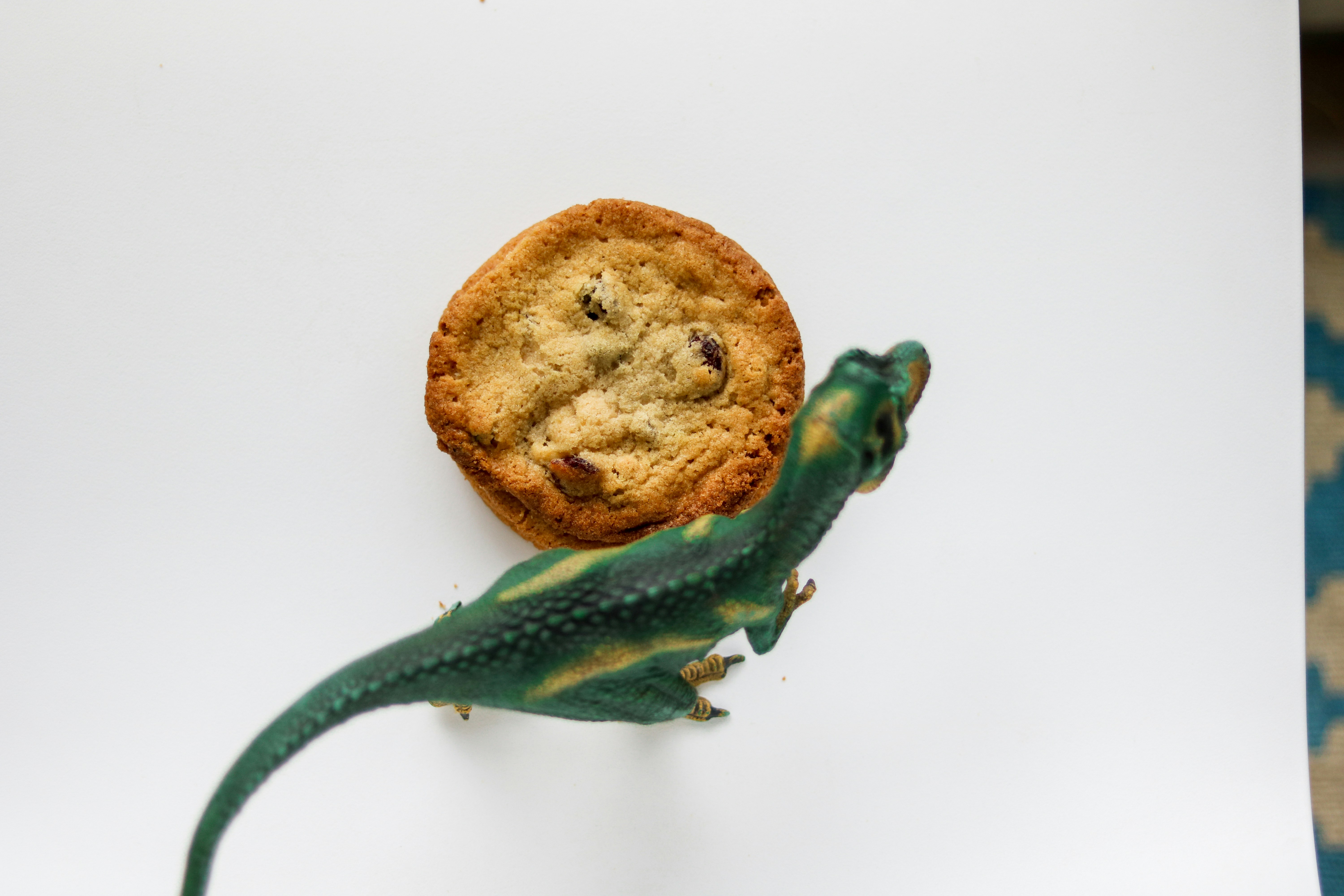 a lizard with a human face