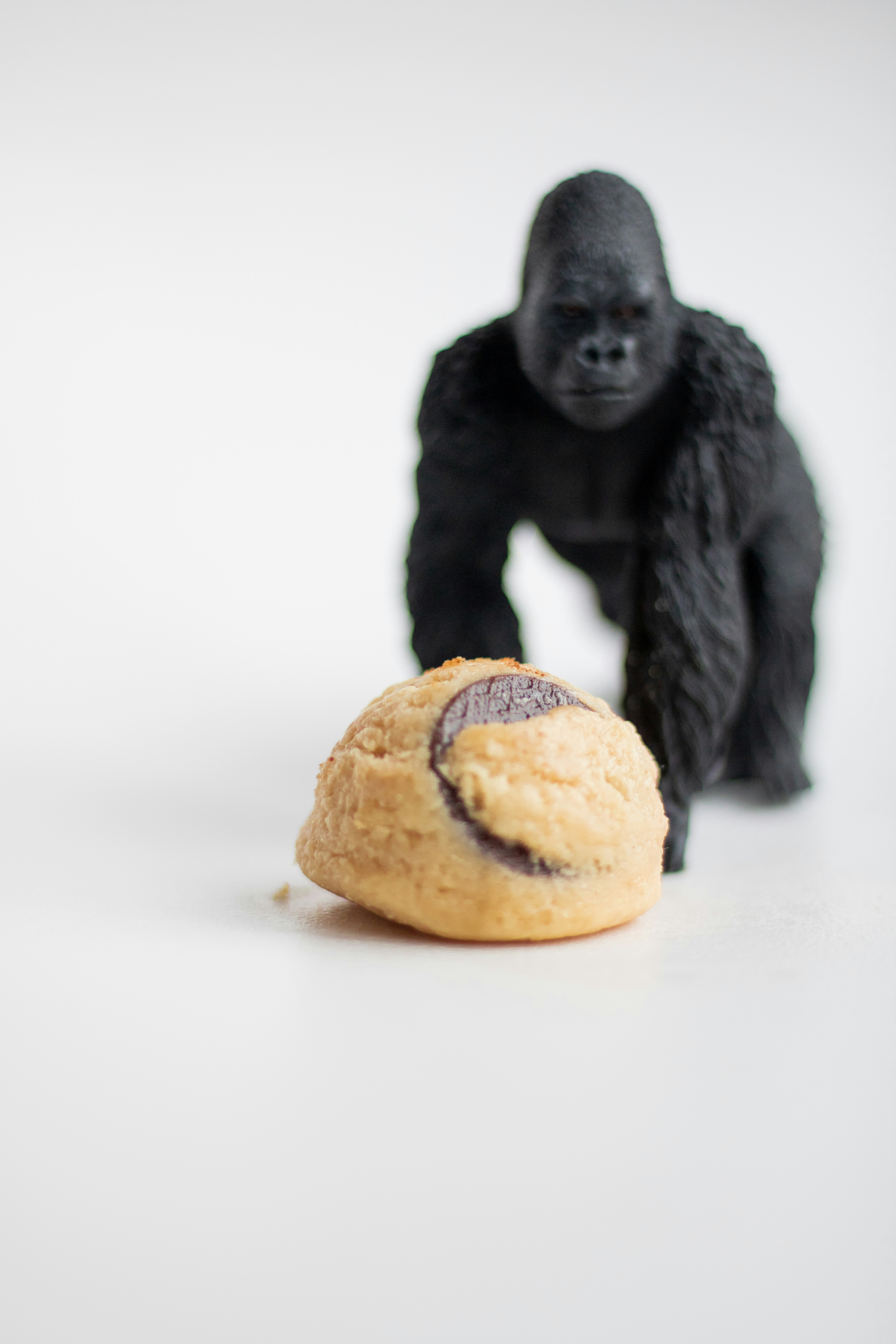 a monkey sitting next to a fruit