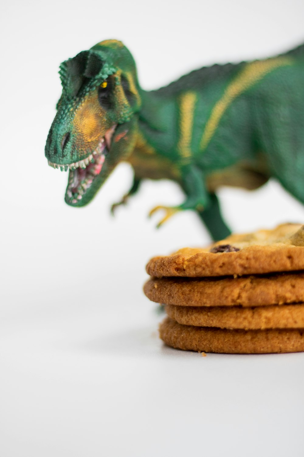 a green lizard on a stack of cookies