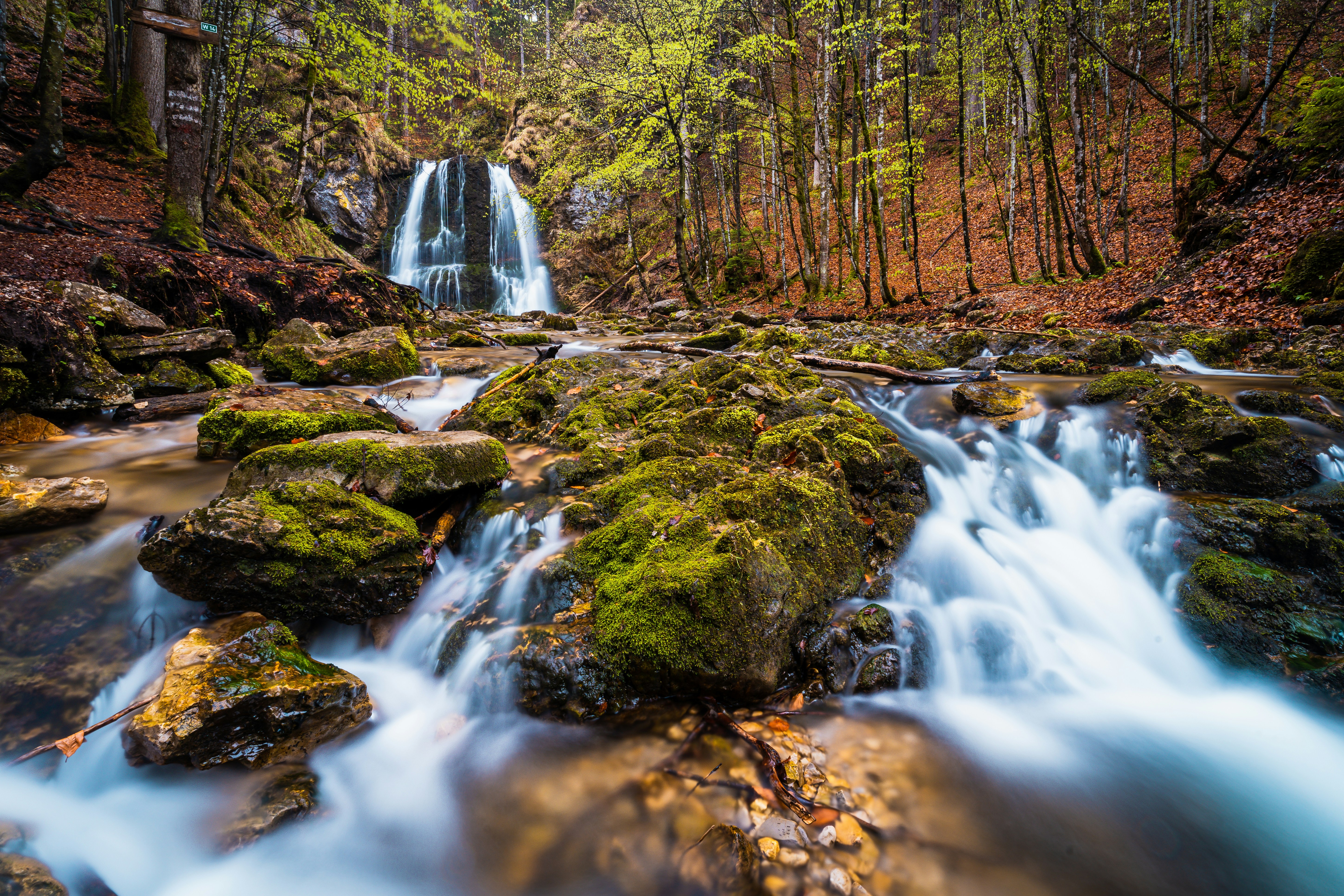 Photo by beckerworks