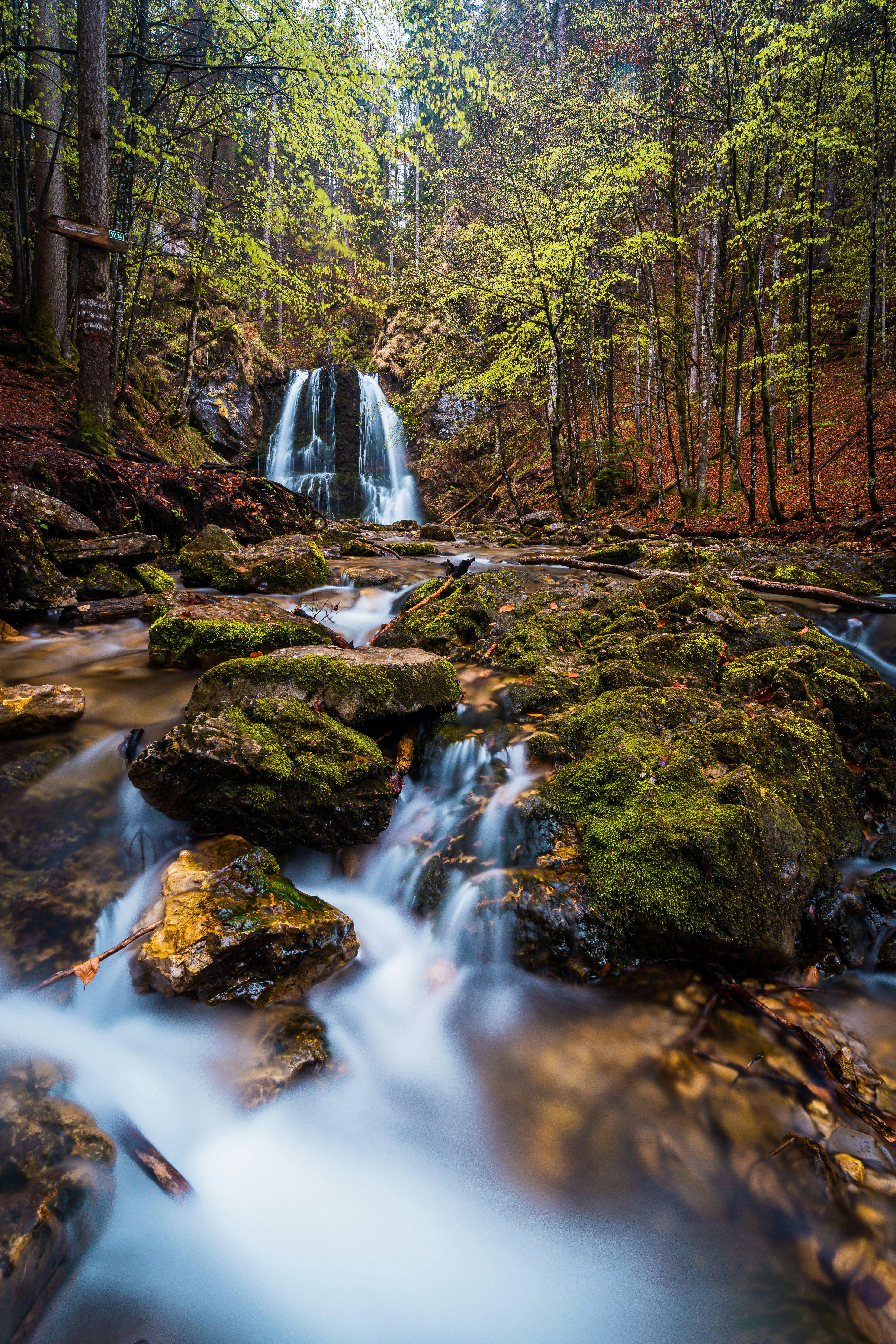 Photo by beckerworks