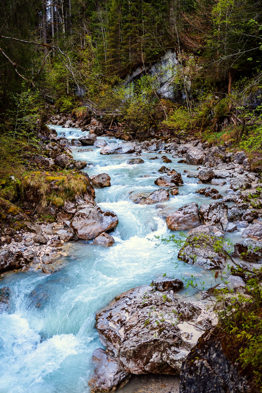 a river with rocks and trees