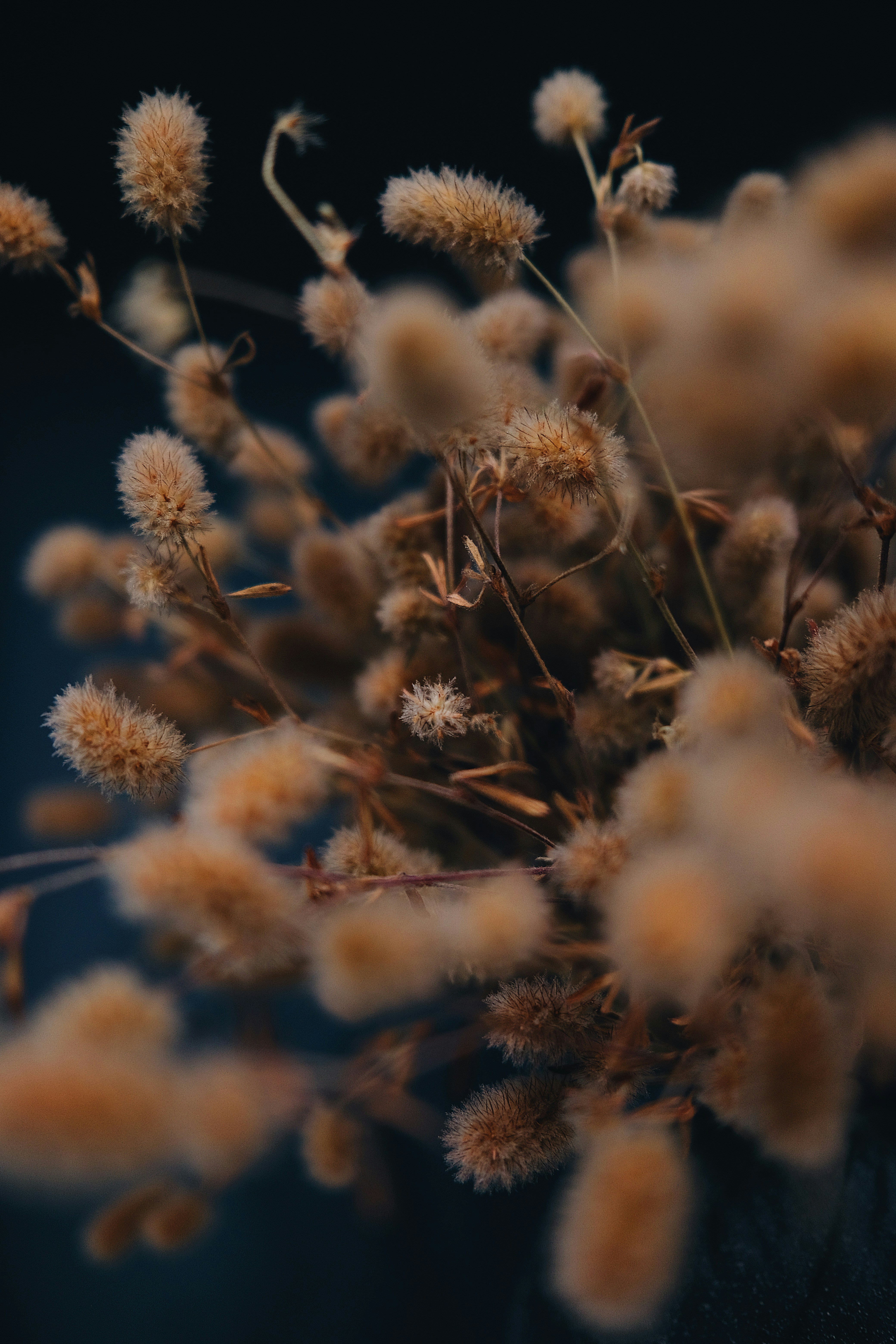 Photo by cherenkevich