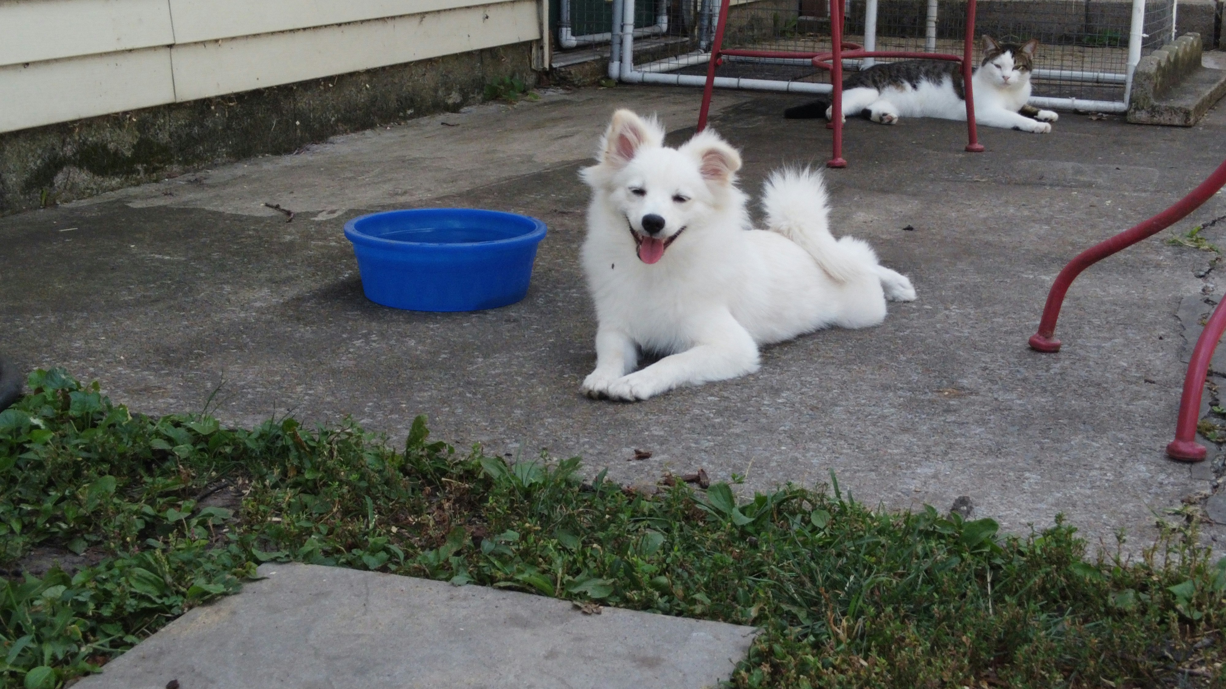 Produtos para Saúde e Bem-Estar
