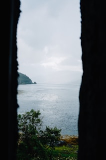 A serene landscape framed through the viewfinder of a classic medium format camera.