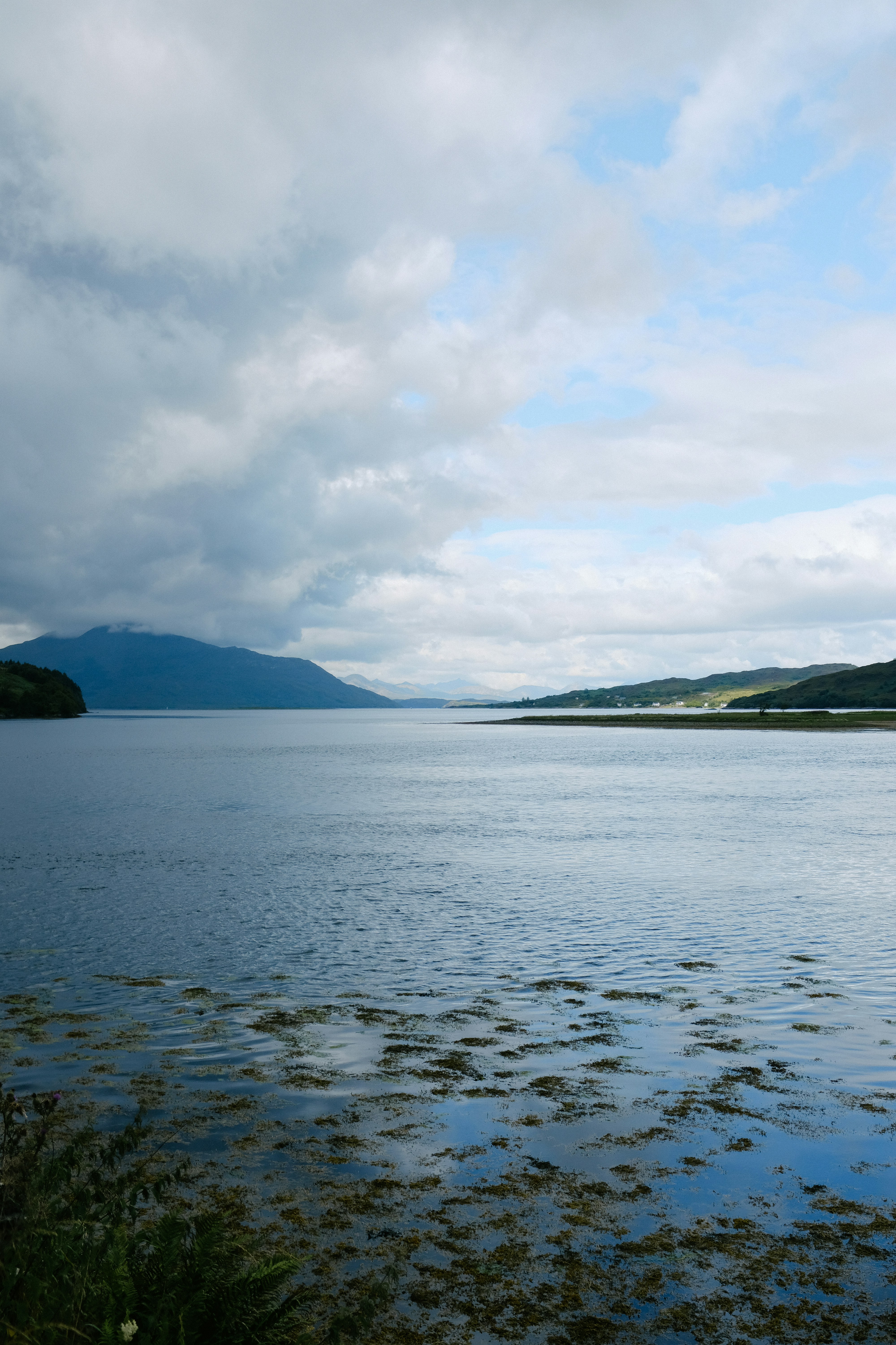 Photo by adrienolichon