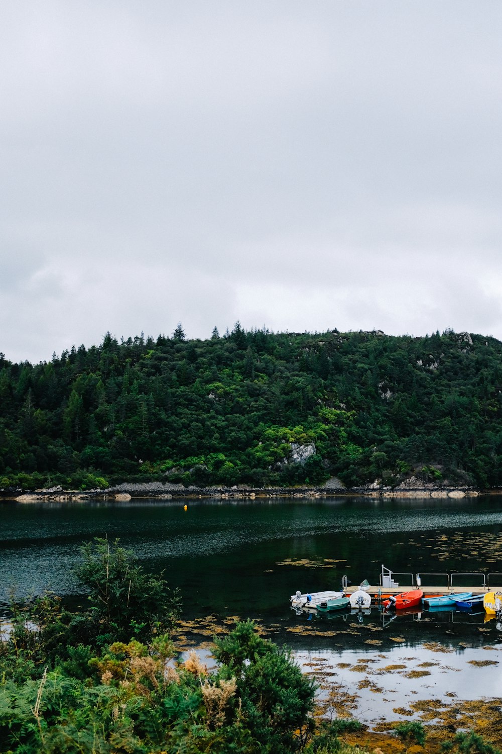 a body of water with boats and trees around it