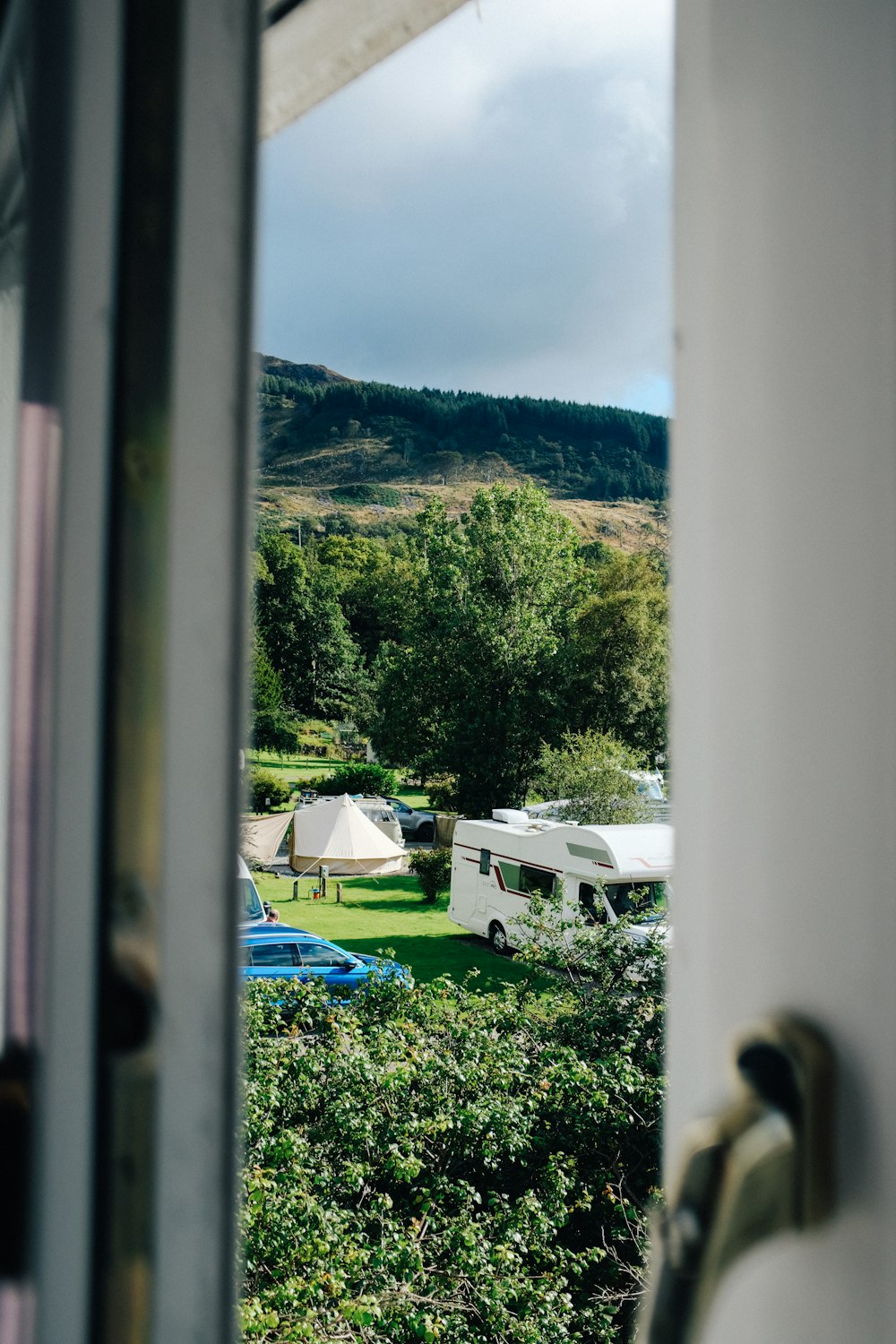 a view of a yard and trees from a window