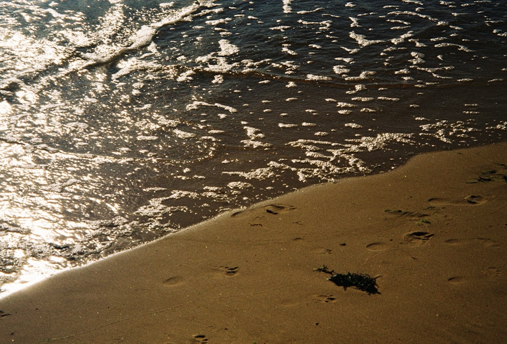 a sandy beach with footprints