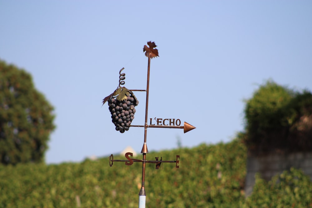 Ein Vogel sitzt auf einem Straßenschild