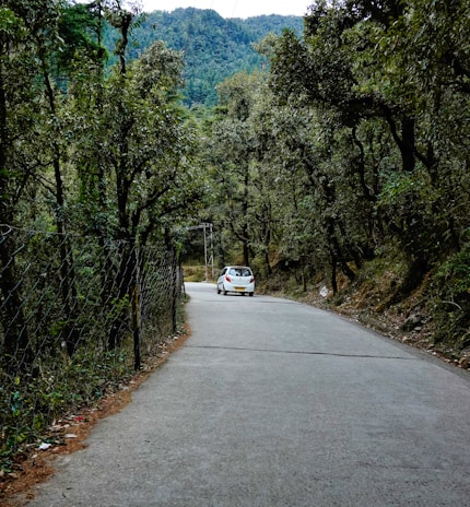 A pixelated forest road winding through blocky trees with a retro car parked on the side.