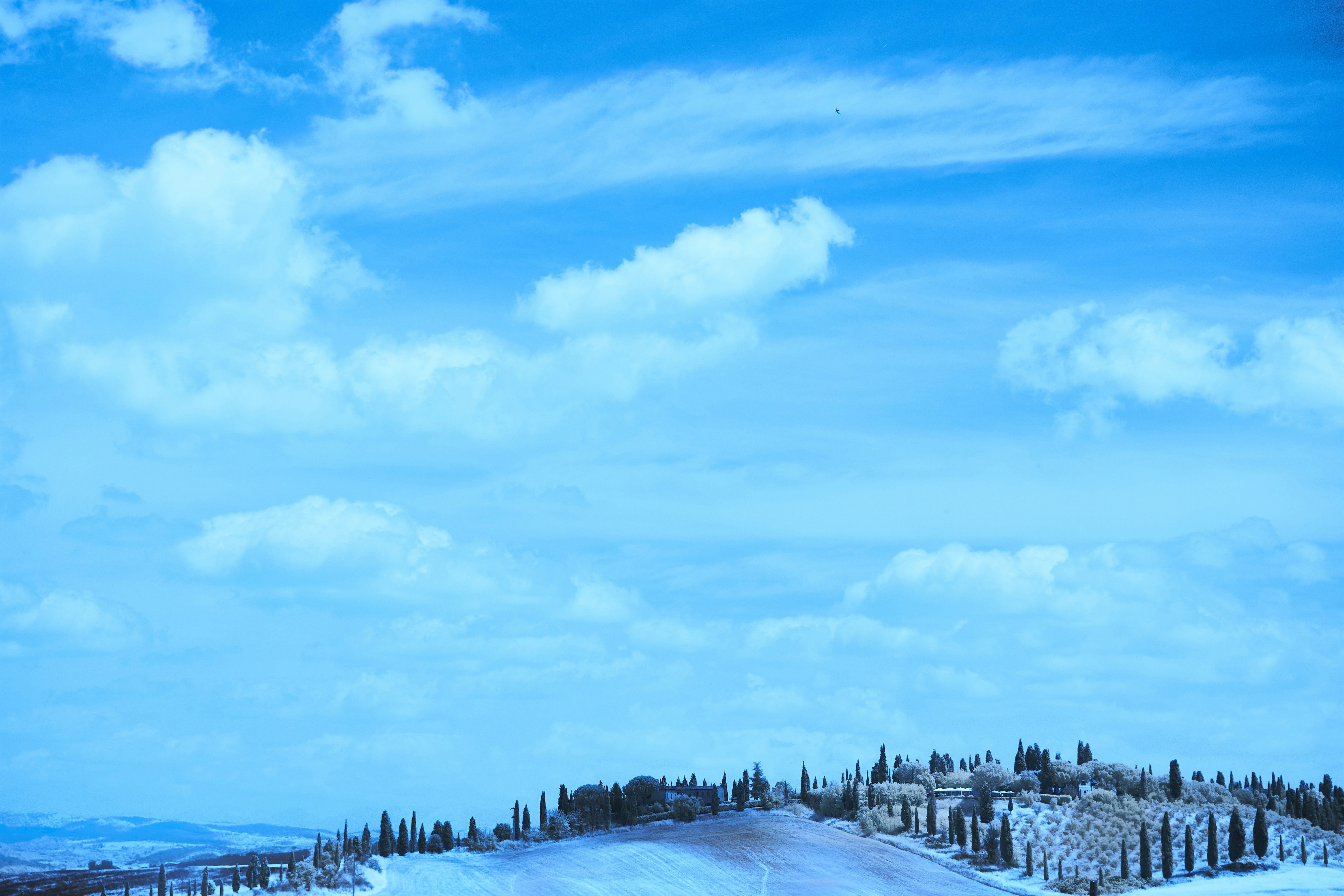 Photo by wolfgang_hasselmann